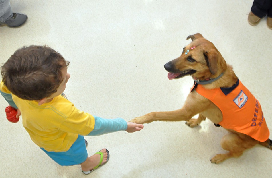 Mascote Mayla visita ala de psiquiatria do Hospital Santo Antônio