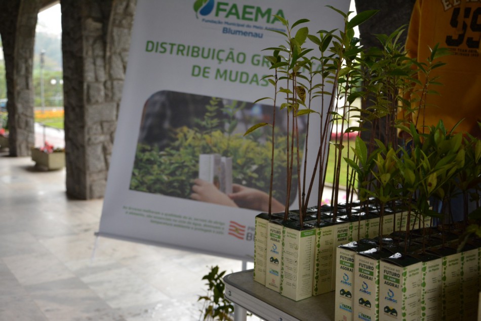 Faema faz distribuição de mudas nativas nesta quinta-feira