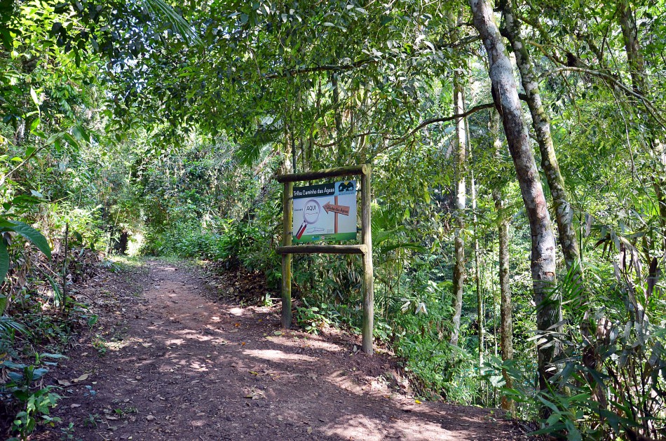 Faema abre inscrições para caminhada noturna no Parque São Francisco