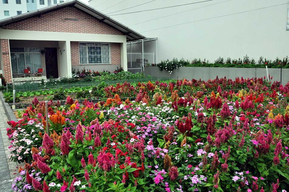 Segunda edição do Concurso de Jardins reúne quatro concorrentes