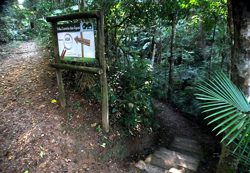 Abertas as inscrições para caminhada noturna no Parque São Francisco