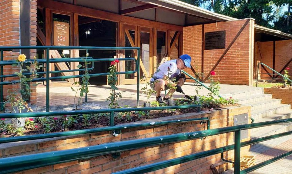 Mausoléu Dr. Blumenau ganha mudas de rosas
