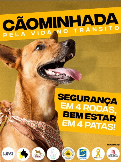 Movimento Maio Amarelo promove cãominhada neste domingo