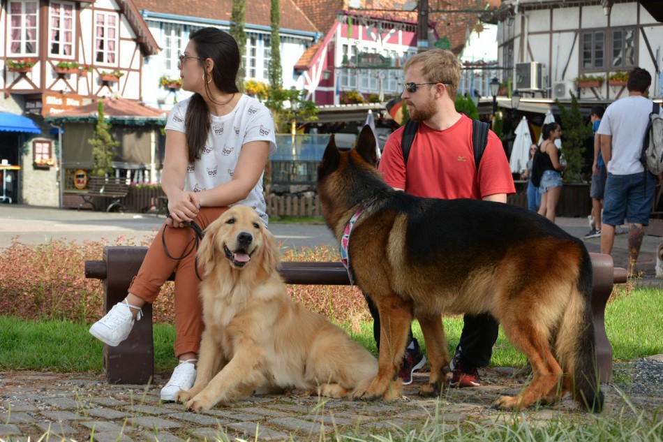 Fim de semana será de Cão no Parque e na Vila