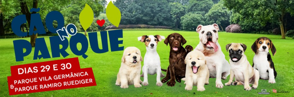 Edição de Cão no Parque e Cão na Vila será neste fim de semana