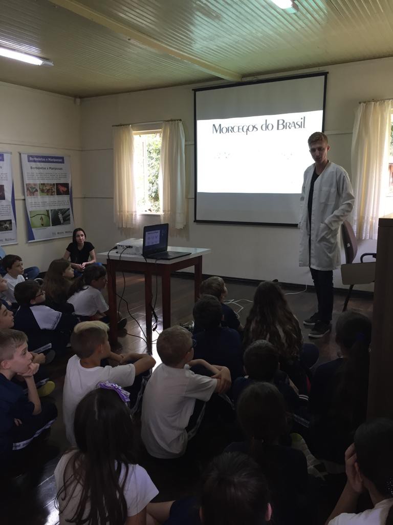 Mais de 160 alunos participam da Semana dos Morcegos em Blumenau