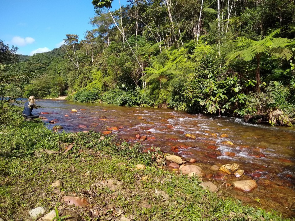 IPAN realizará mutirão de limpeza no Ribeirão Minas de Prata