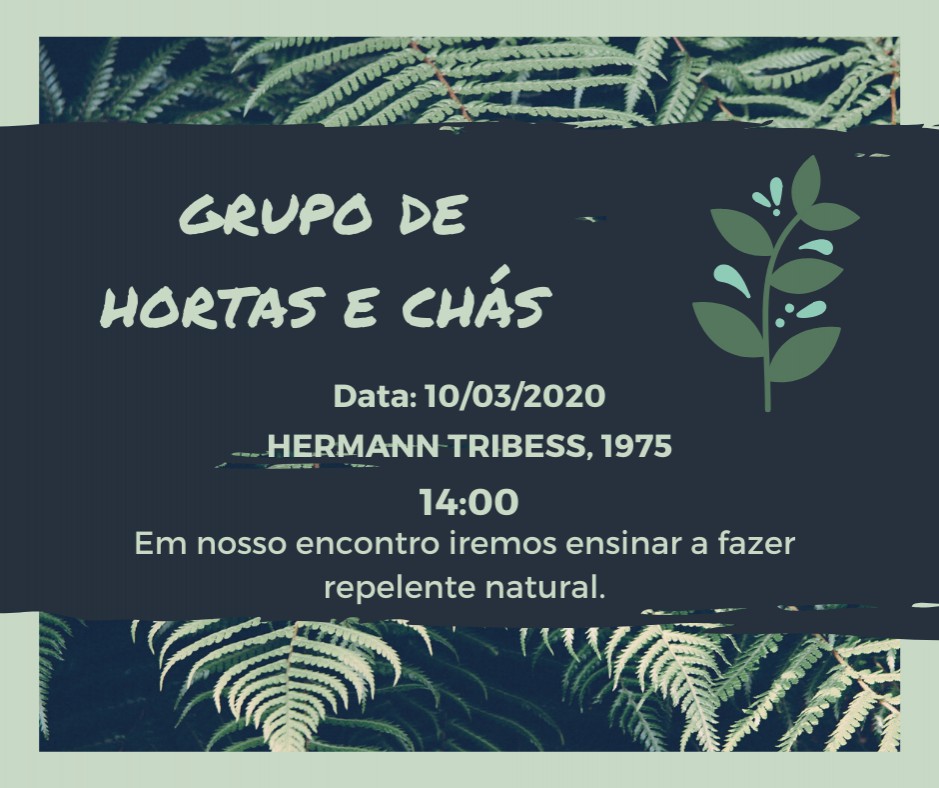 Comunidade poderá aprender a fazer repelente natural com plantas medicinais