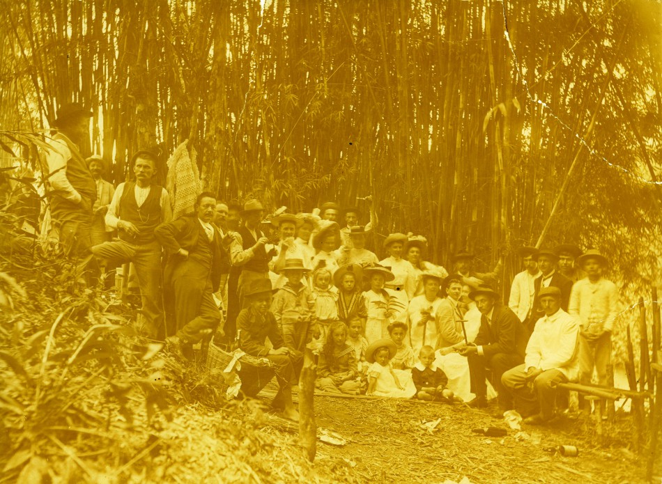 Memória Digital: Piquenique