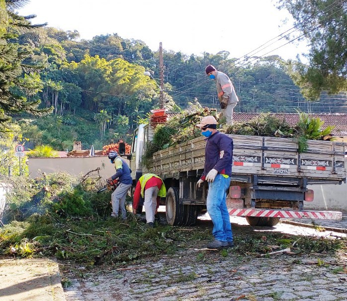 Município mantém trabalhos de podas de árvores e recolhimento de entulhos 