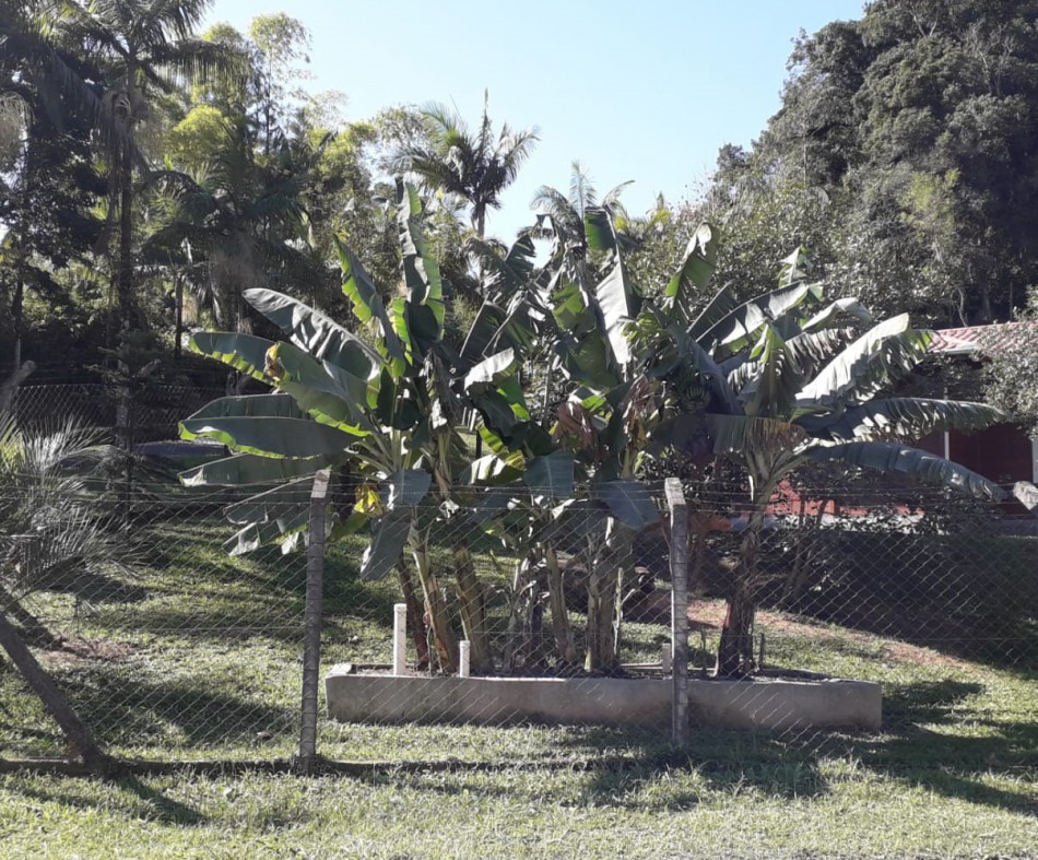 Primeira fossa ecológica reconhecida pelo Município completa um ano de funcionamento