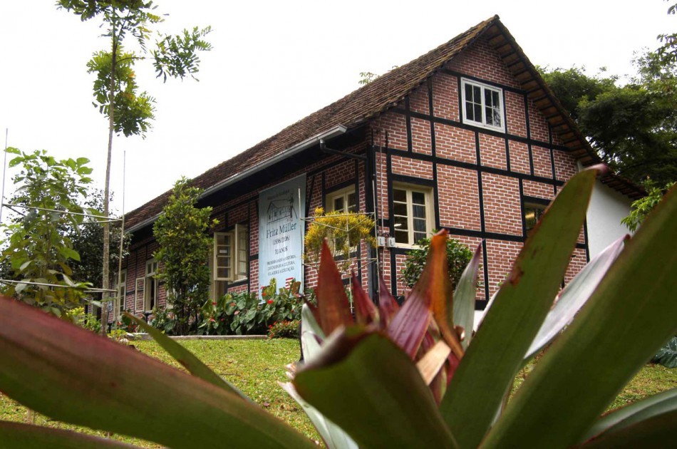 Museu Fritz Müller promove semana de exposições virtuais nas redes sociais