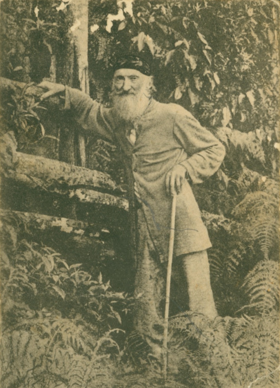 Memória Digital: Fritz Müller