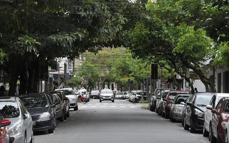 Seurb realizará poda de árvores na Curt Hering nesta quarta, dia 5