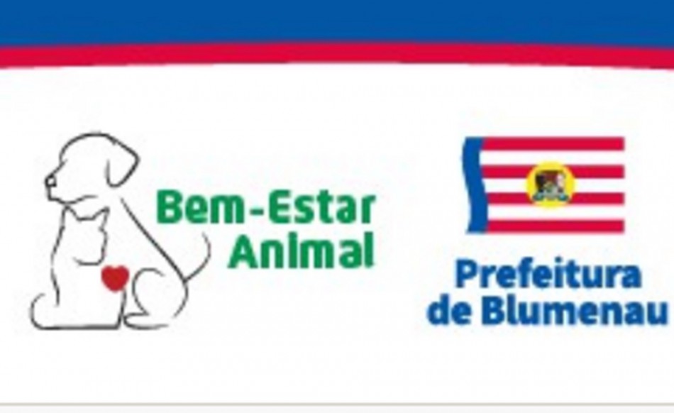 Live da OAB Blumenau contará com a presença de equipe da Semmas 