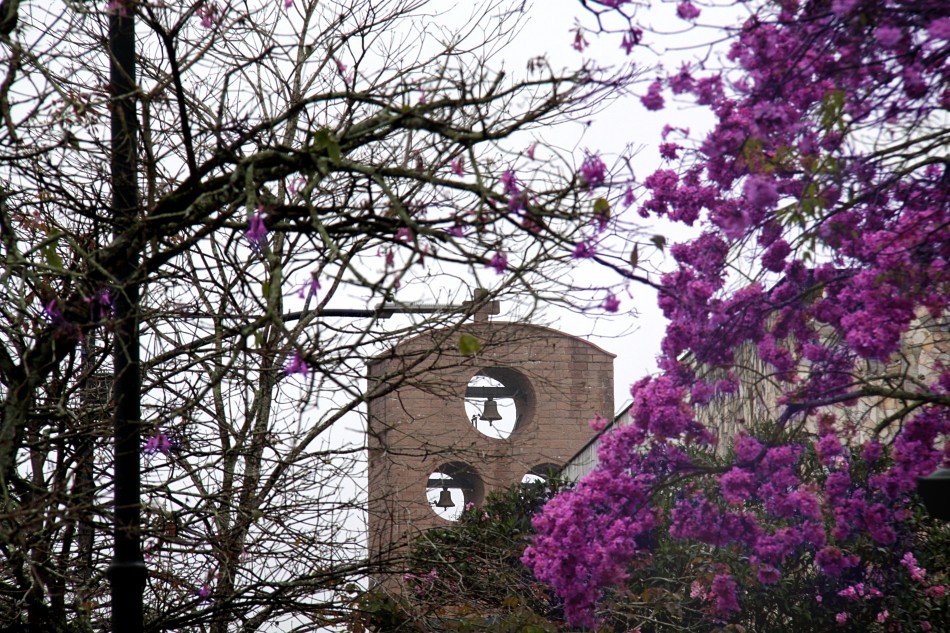 Blumenau atinge a marca de 500 óbitos em decorrência da Covid-19