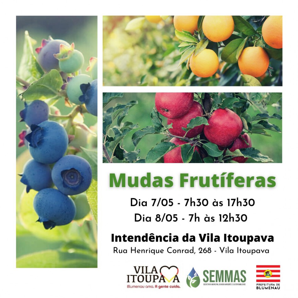 Mudas frutíferas serão comercializadas na Vila Itoupava sexta-feira e sábado 