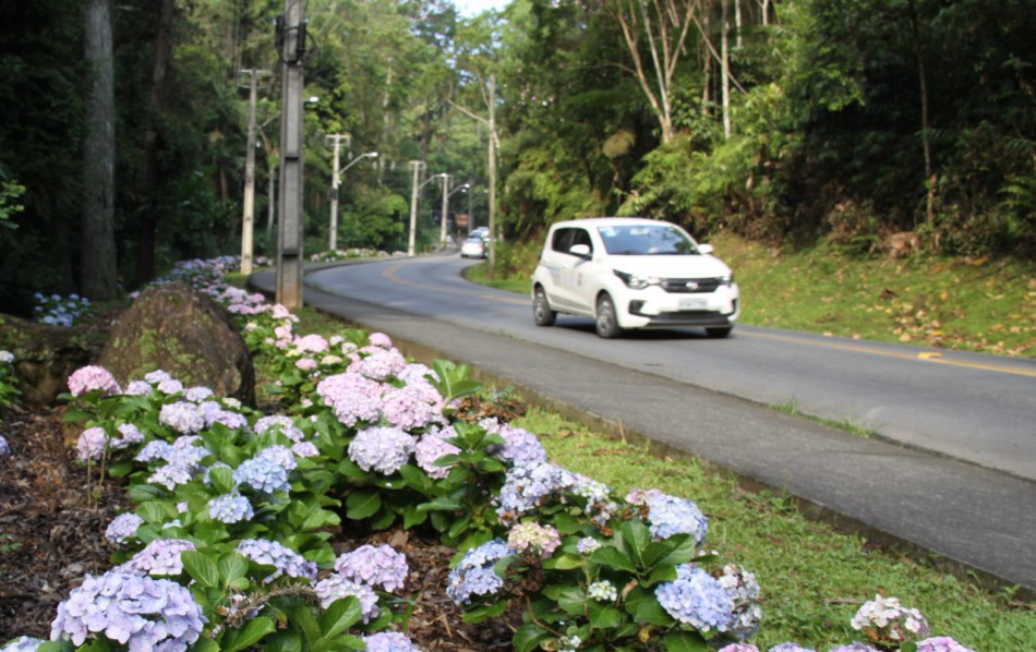 Rua Bruno Hering receberá manutenção neste sábado, dia 12