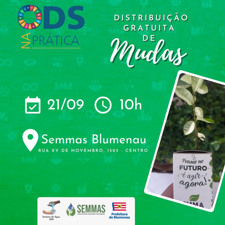 Semmas distribuirá mudas e fará plantio de árvores em comemoração ao Dia da Árvore