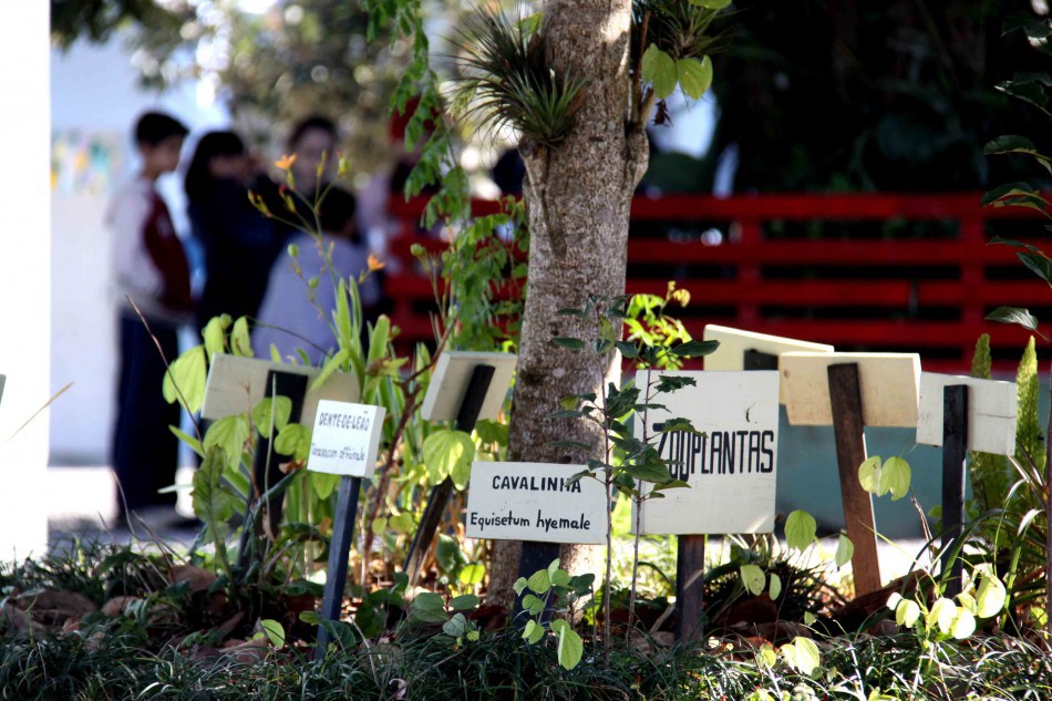 Prefeitura de Blumenau abre inscrições para curso de Formação Continuada em Educação Ambiental