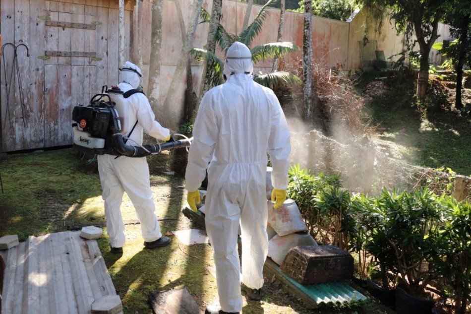 Blumenau registra cerca de 1,8 mil focos do mosquito Aedes Aegypti e mais de 200 casos de Dengue este ano