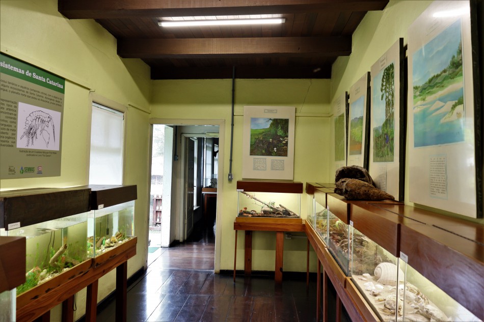 O Museu Fritz Müller será reaberto na quarta-feira, dia 13