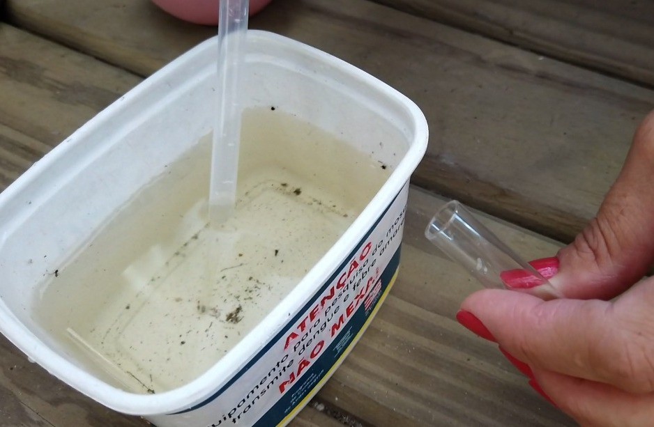 Mais de 3 mil focos de Dengue foram identificados no ano passado em Blumenau