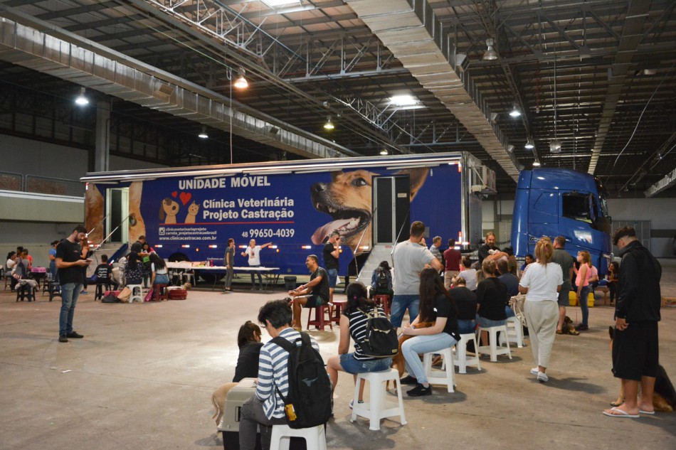 Prefeitura de Blumenau inicia novo mutirão de castração gratuita de animais