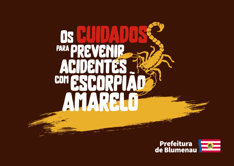 Calor e umidade favorecem o aparecimento dos escorpiões amarelos