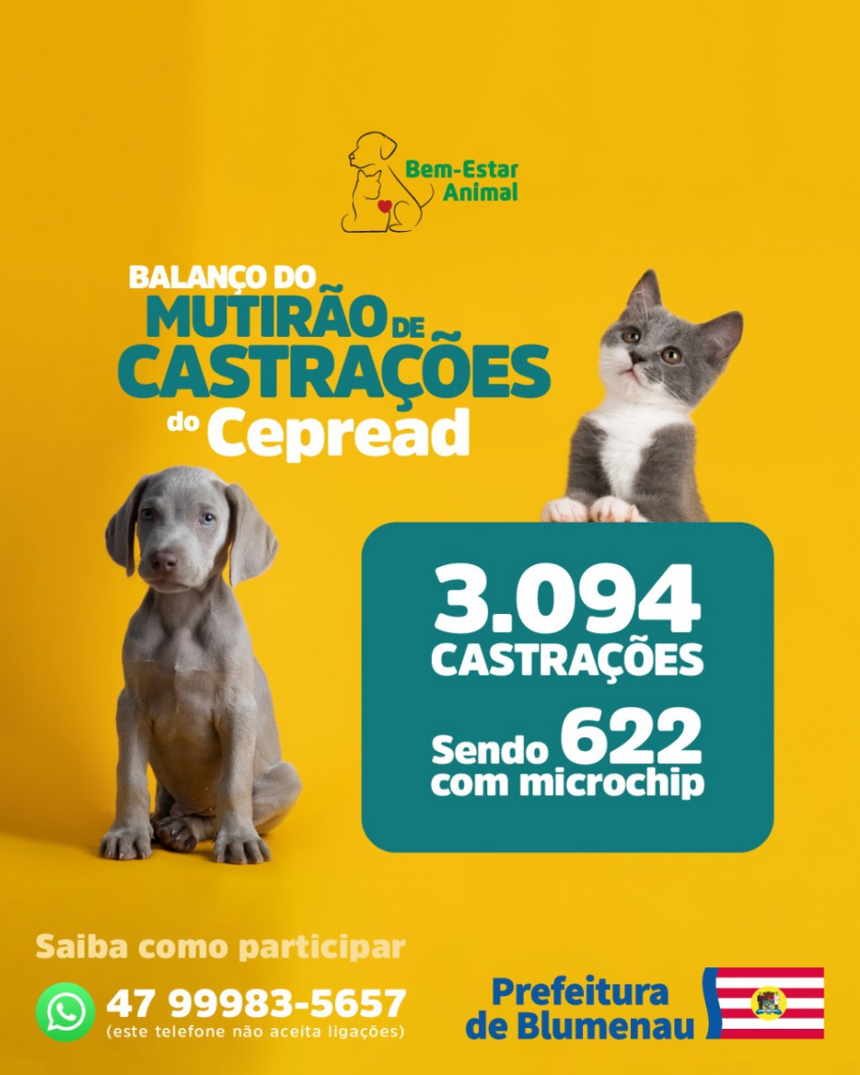 Prefeitura abre cadastramento para nova etapa de castrações gratuitas de cães e gatos no município