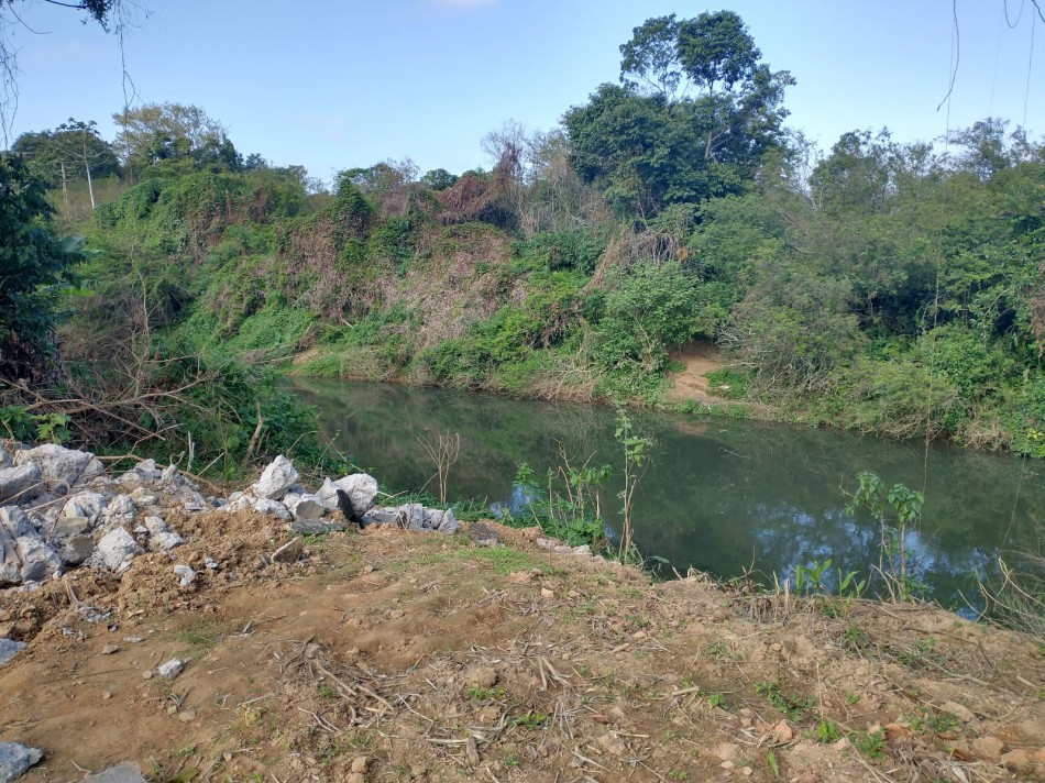 Prefeitura inicia os trabalhos de limpeza no Complexo Viário da Rua Maike Andresen Deeke