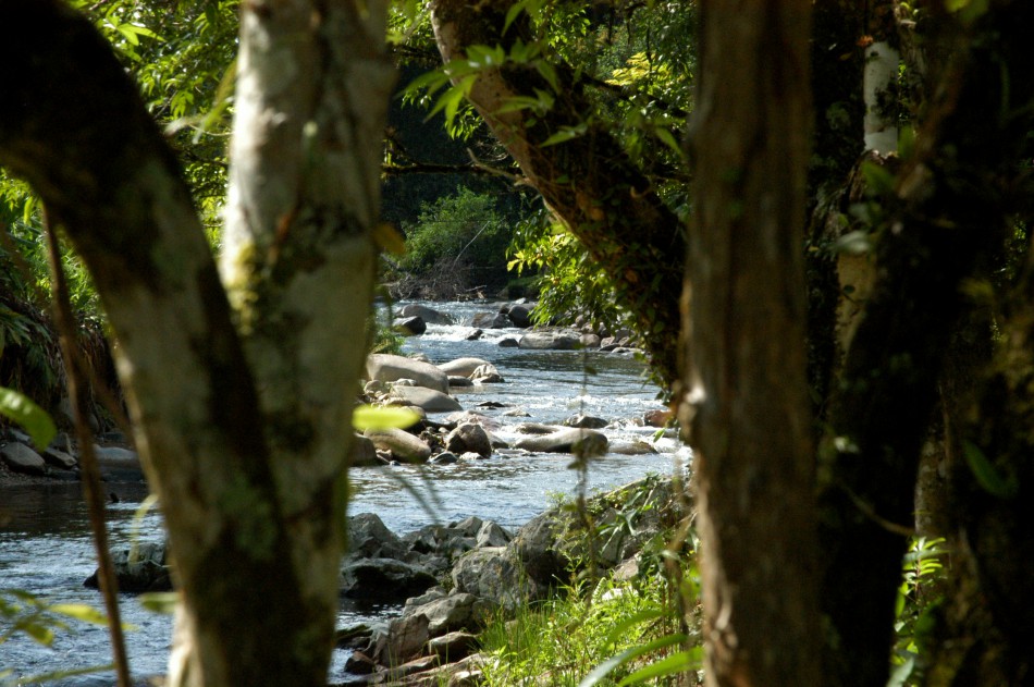 Abertas inscrições para a 7ª edição da Caminhada das Nascentes em Blumenau