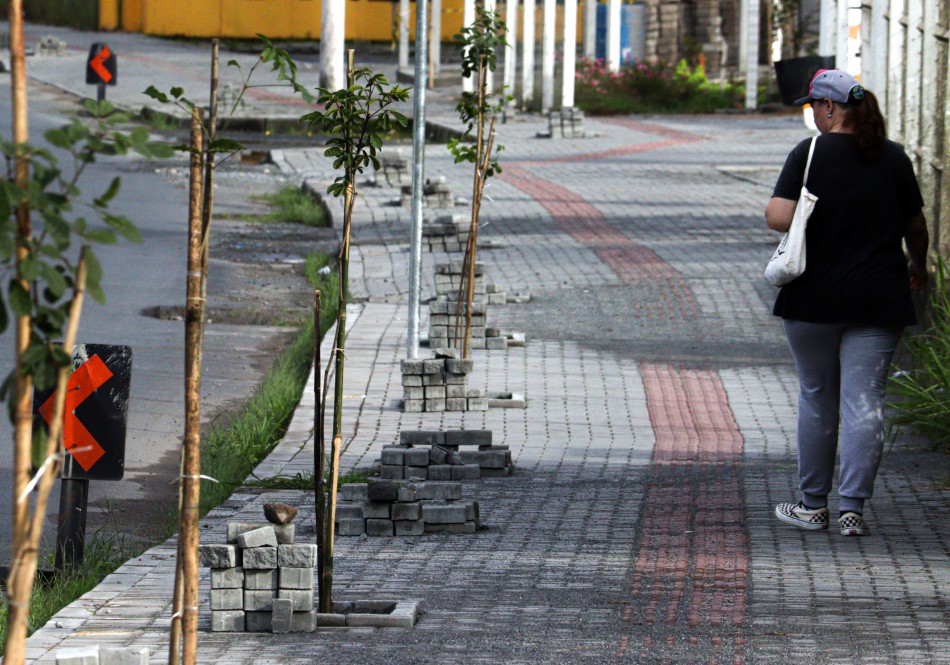 Prefeitura inicia segunda etapa do plantio de árvores para compensação de gás carbônico na cidade