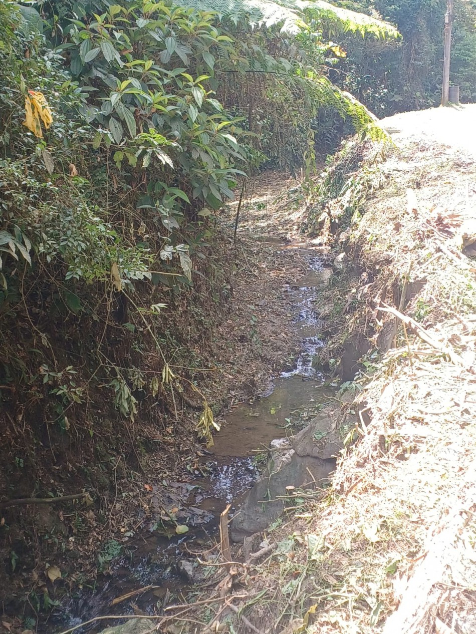 Seurb realiza limpeza de ribeirão no bairro Vorstadt