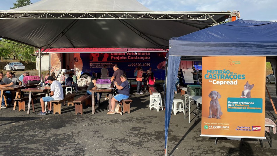 Inscrições abertas para novo mutirão de castração gratuita de cães e gatos em Blumenau