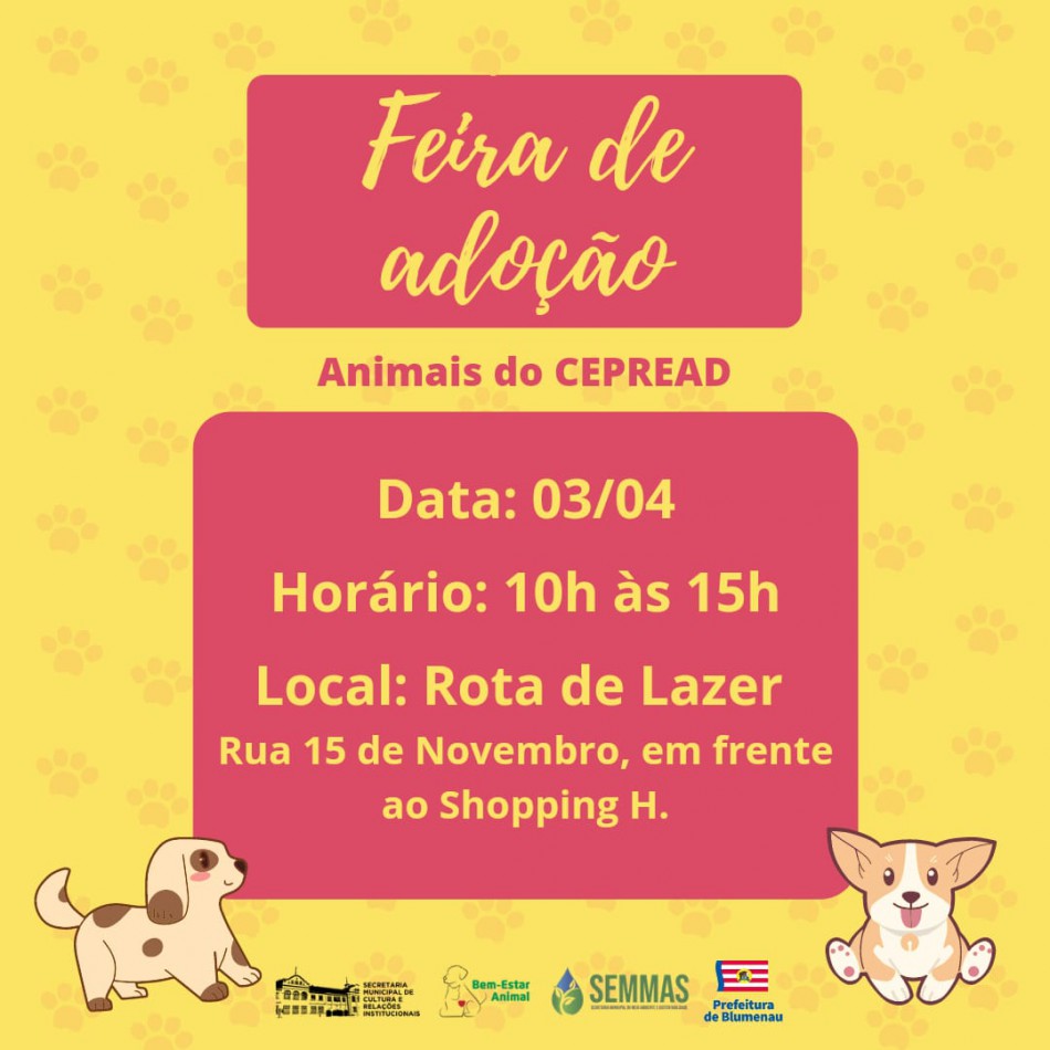 Cepread promove Feira de Adoção de Animais junto à Rota de Lazer