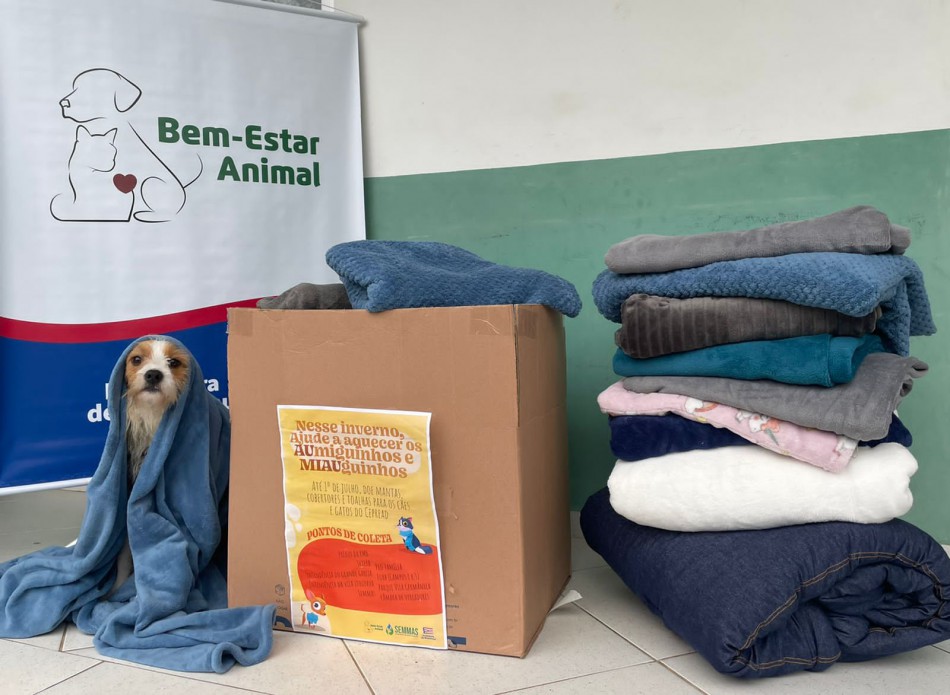 Mais de 300 itens arrecadados durante a Campanha do Agasalho Animal em Blumenau