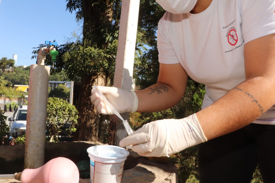 Blumenau registra cerca de 1,9 mil focos do mosquito Aedes Aegypti e 287 casos de Dengue este ano