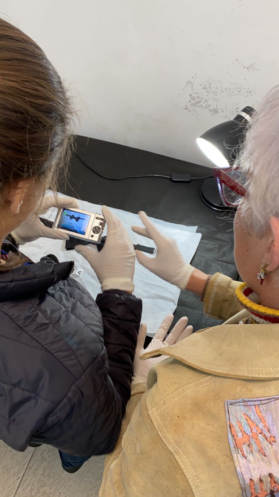 Oficina reforça a importância documental do acervo museológico