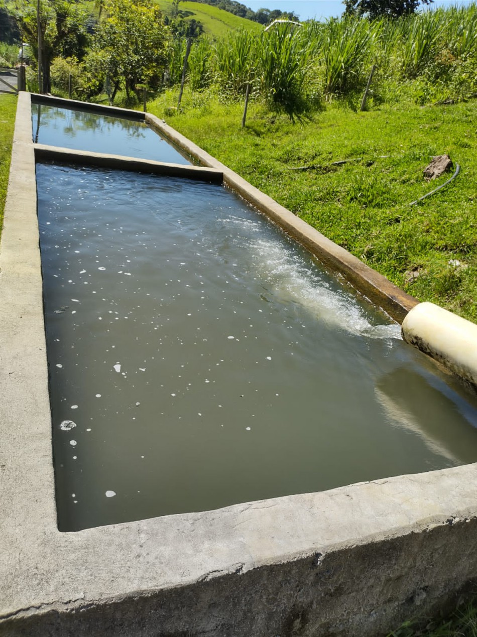 Seurb retoma serviço de irrigação de plantas e lavação em geral da cidade 