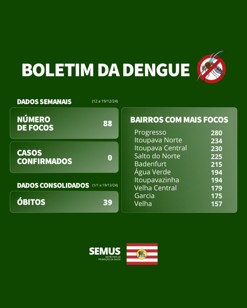 Boletim Dengue - 12 a 19/12/2024