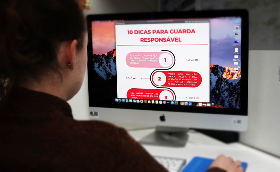 Prefeitura de Blumenau elabora folder com dicas sobre guarda responsável de animais