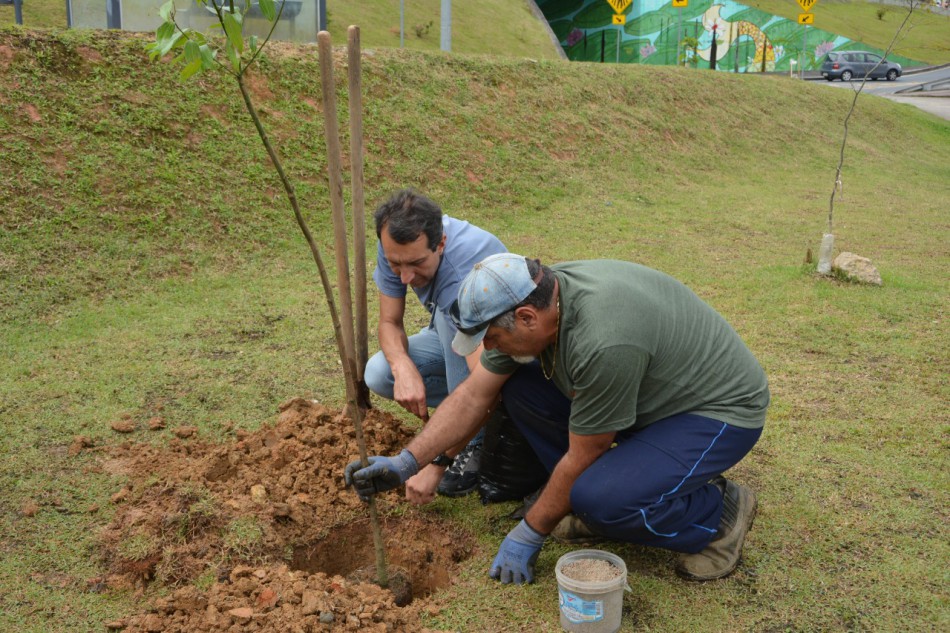 Projeto sustentabilidade promove o plantio de novas árvores da Oktoberfest Blumenau
