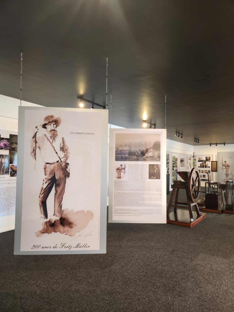 Uma Noite no Museu: Prefeitura promove visita diferente à Exposição Fritz Müller