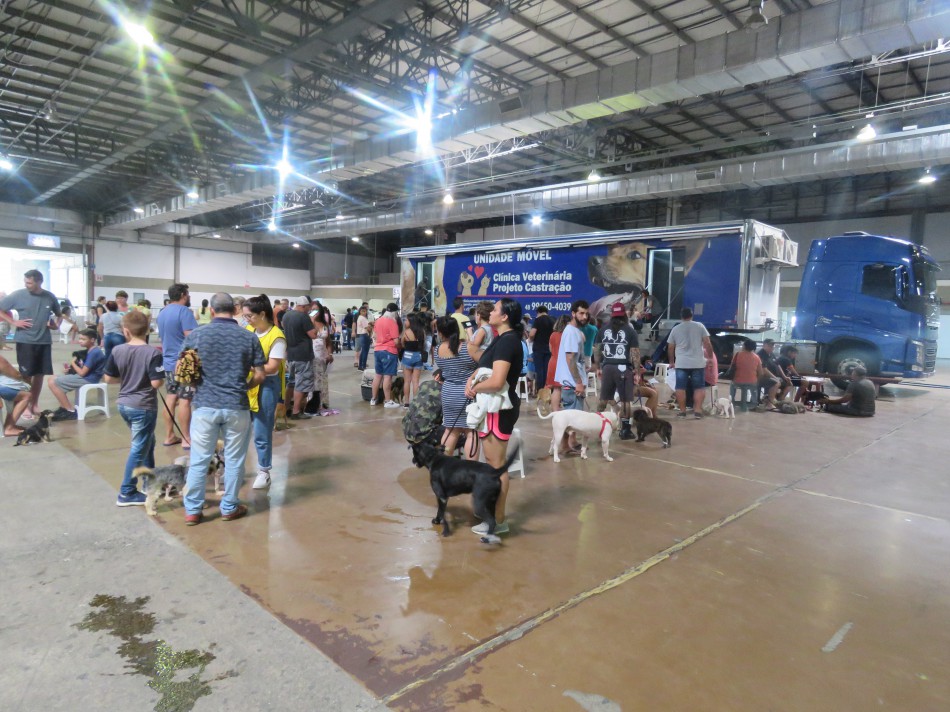 Prefeitura inicia mutirão de castração gratuita de cães e gatos