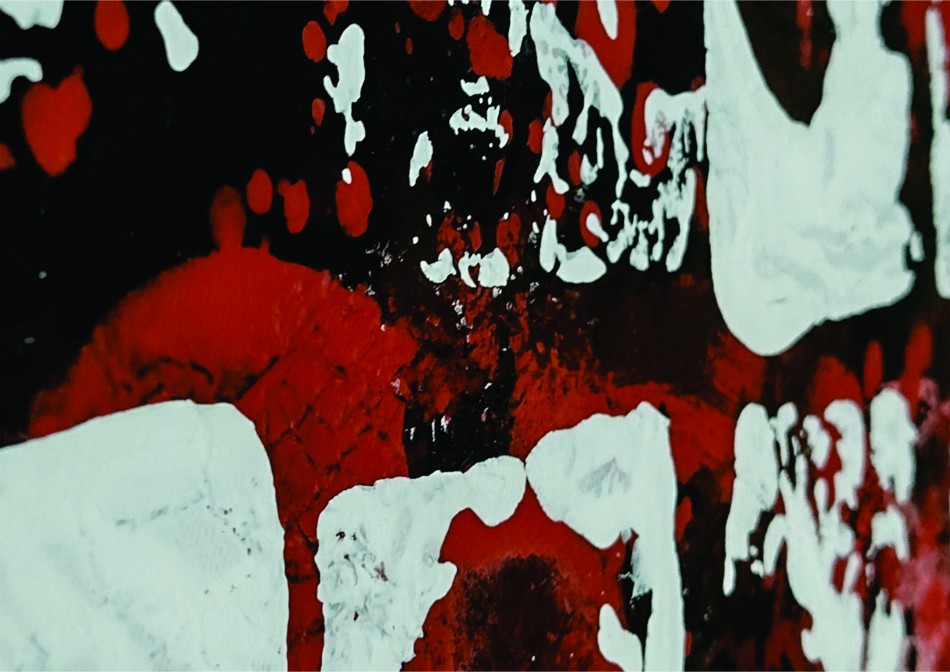 Pedro Gottardi expõe no Museu de Arte de Blumenau