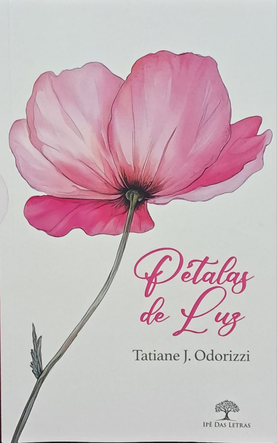 Escritora blumenauense lança coletânea de poesias nesta sexta-feira, dia 4