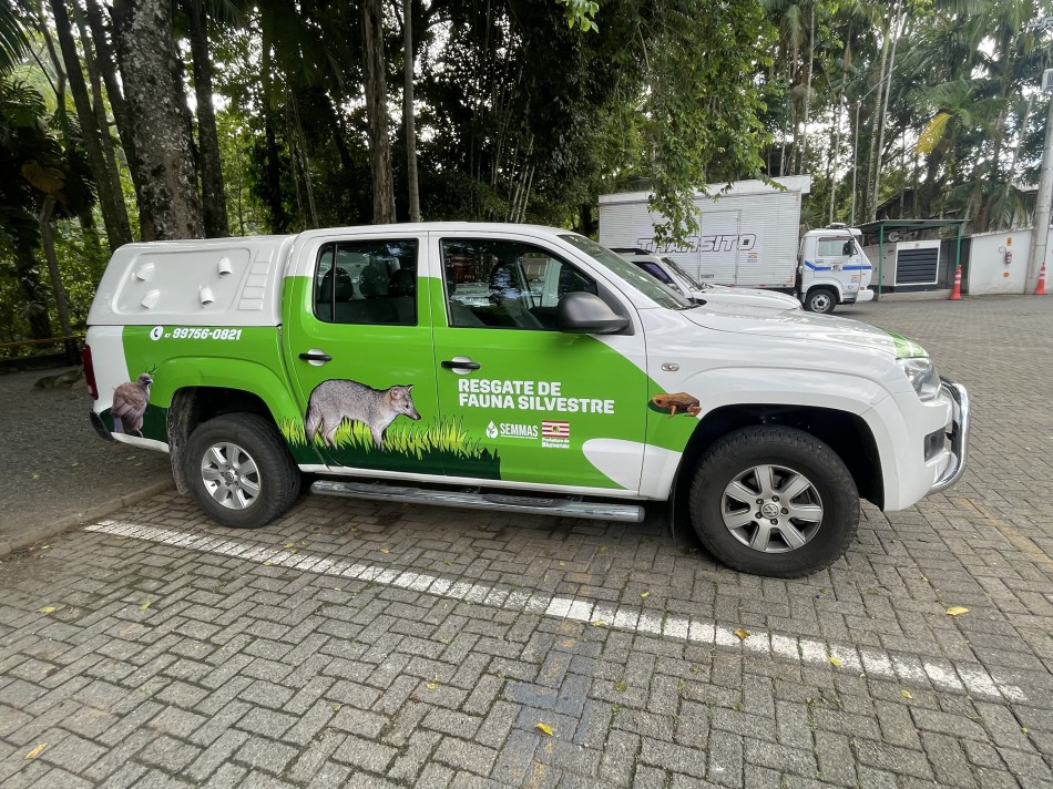 Blumenau cria programas para resgate e monitoramento de animais silvestres