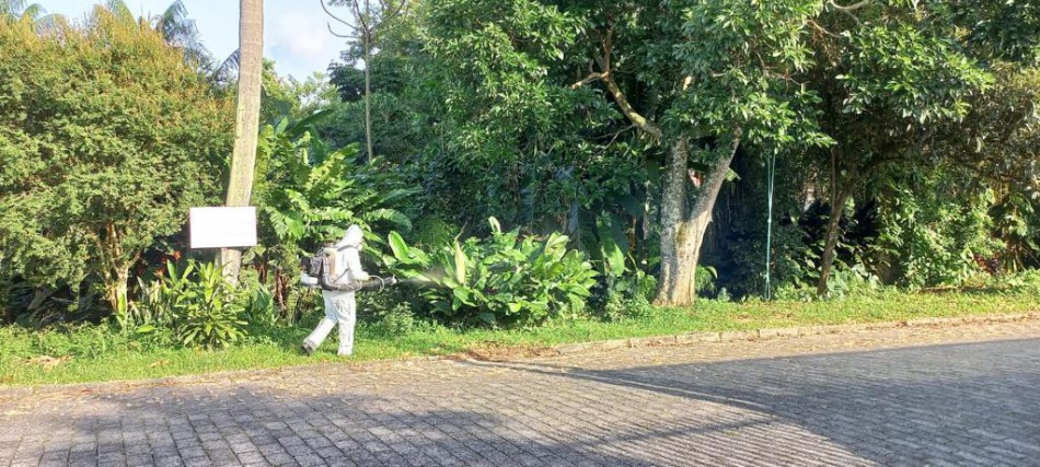 Blumenau intensifica combate à dengue com a aplicação do fumacê no Salto do Norte