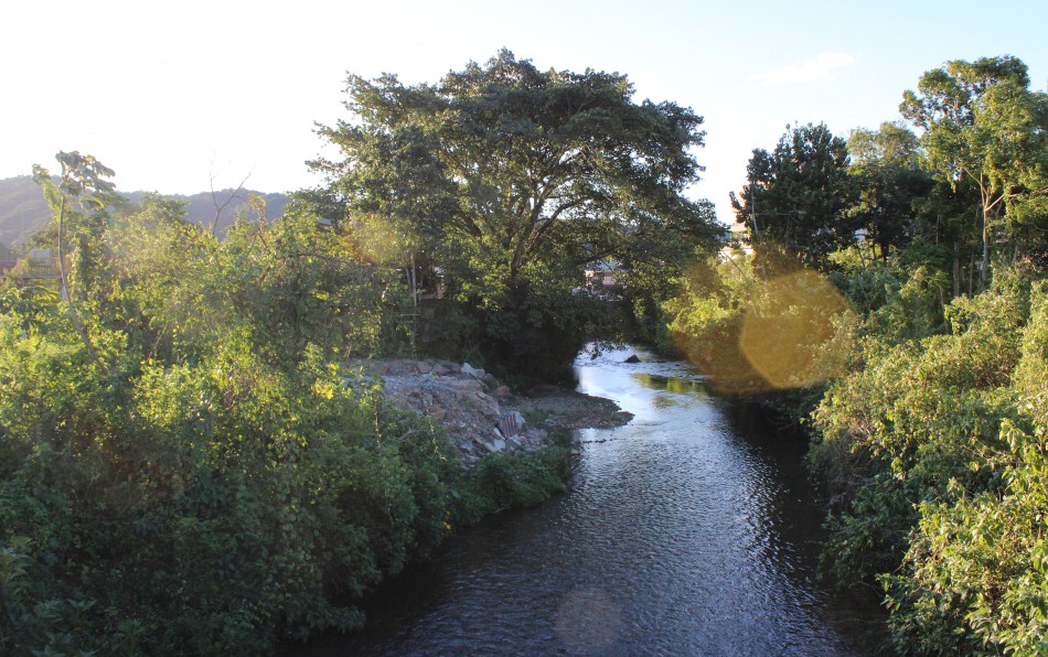 Blumenau se une pela sustentabilidade com ação de limpeza e conscientização ambiental neste sábado